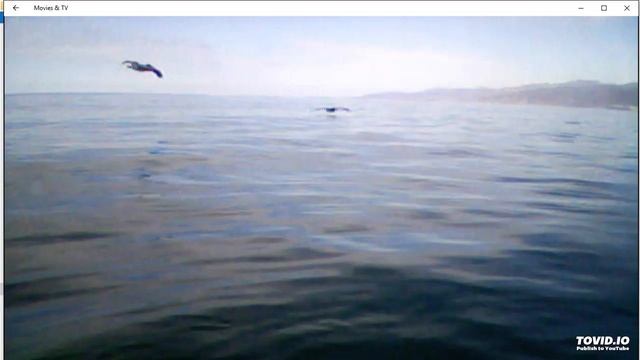 Riff 2 смотреть онлайн