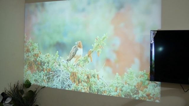 UNIC T6 Android Projector?Home Cinema?Built-in Android??️4500 Lumens⚡WiFi/Bluetooth/4K?200" Screen? смотреть онлайн