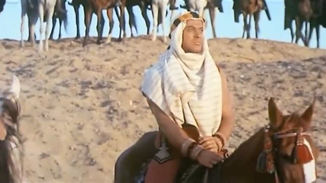 Kindar смотреть онлайн