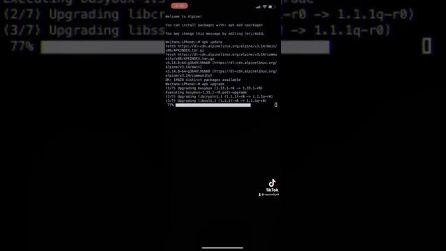 Alpine Linux on iOS смотреть онлайн