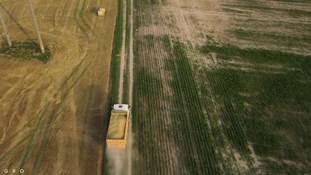 Урожай 2023! GOMSELMASH GS12 PRO, CLAAS Lexion 580, ГАЗ 2507 и другие на уборке озимого ячменя смотреть онлайн