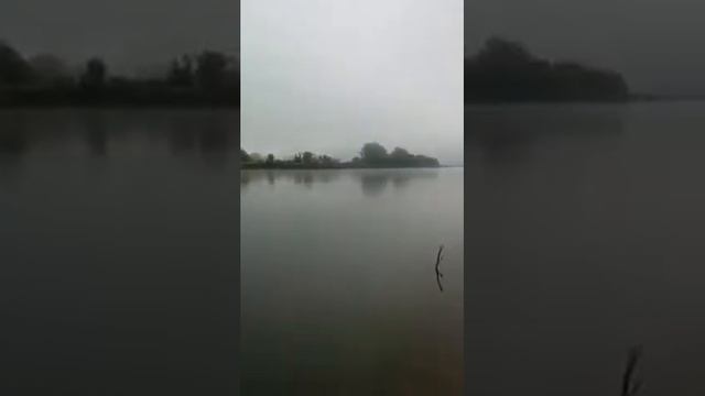 Тюмень, рыбалка смотреть онлайн