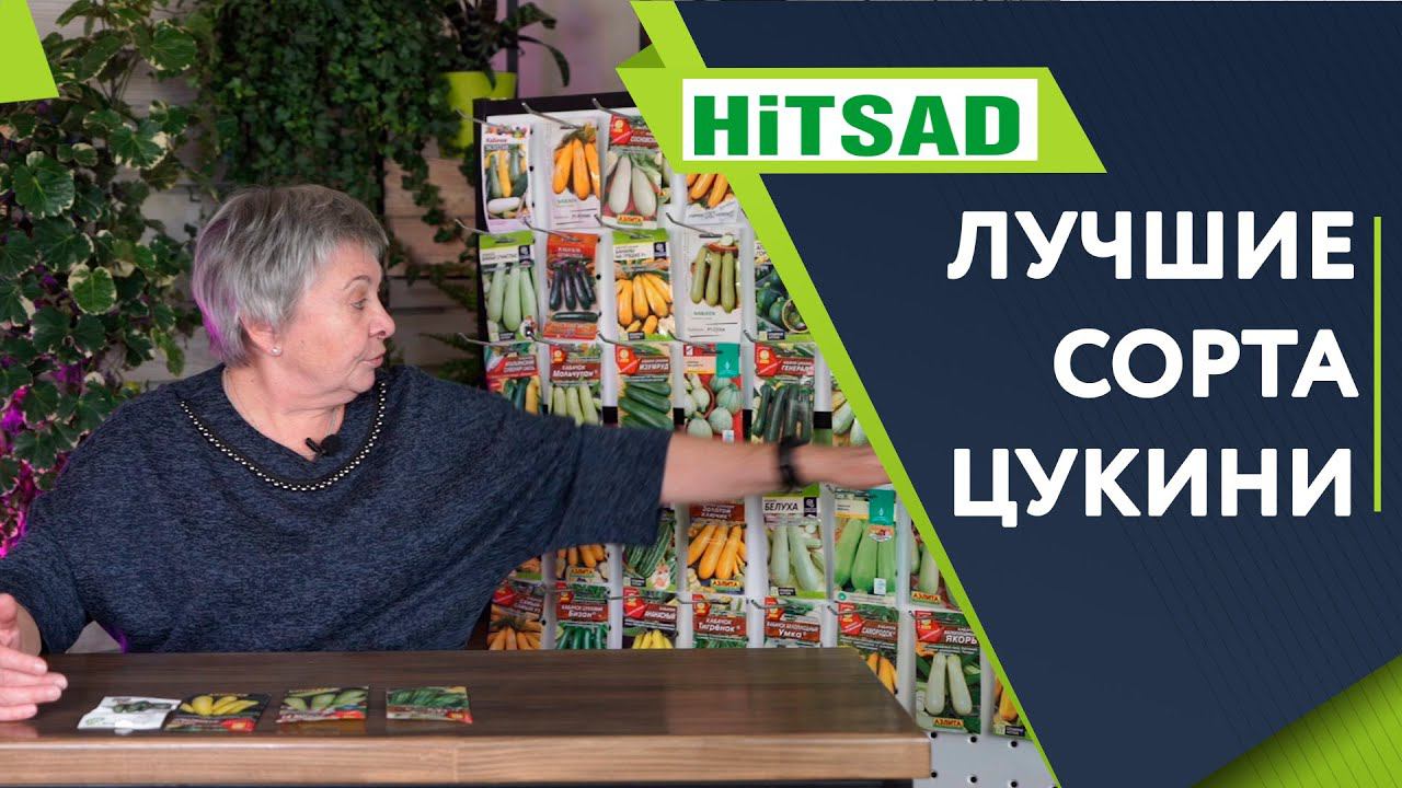 Цукини и Кабачки Что вкуснее и полезнее Лучшие сорта Цукини смотреть онлайн