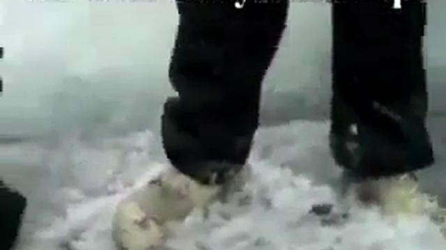 Копия видео В Сибири найдены останки крушения НЛО смотреть онлайн