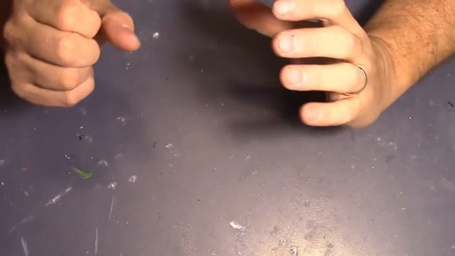 100% and Tournament Results смотреть онлайн