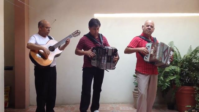Polka Cd. Victoria El Centavo y El Pato acordeones y Toño L смотреть онлайн