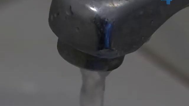 Найбільше хвороботворних бактерій накопичується на поверхні фруктів та овочів смотреть онлайн