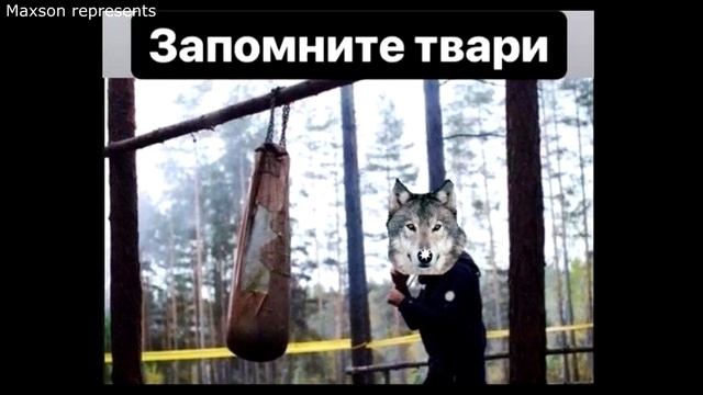 муд: мем одинокого волка. смотреть онлайн