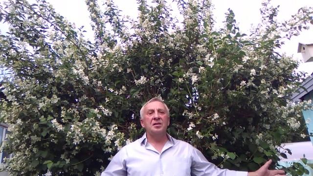 В. Солоухин "Ольха" смотреть онлайн