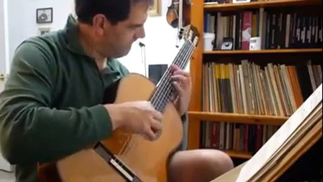 Adelita, a mazurka by Francisco Tarrega. Luis W. Cordero: Guitar смотреть онлайн