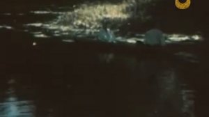 Сорочинський ярмарок - 1938р. (Сорочинская ярмарка)