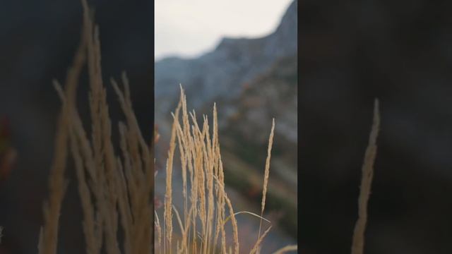 Идеи для осенних видео Зацени какой вариант лучше этот или второй у меня в ленте #фотографкраснода смотреть онлайн