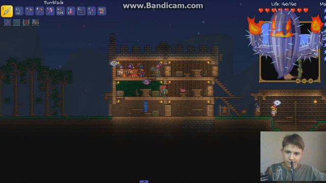 Terraria (с модами) #6 Гнилой котик - пожиратель душ на котором можно ездить! смотреть онлайн