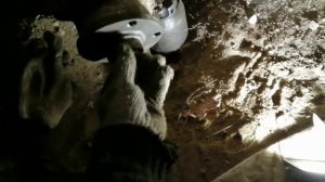 Замена ступицы и ступичного подшипника Audi A6 C5