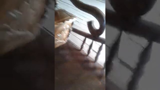 продаются сани для упряжки лошадей смотреть онлайн