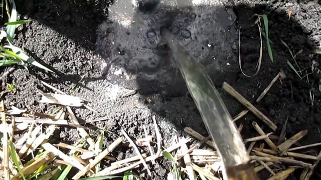 ПОСАДКА ТОМАТОВ, ЧТО Я КЛАДУ В ЛУНКУ смотреть онлайн