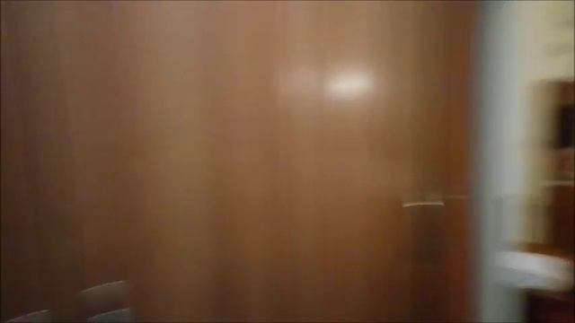 Отдых в Турции! Отзыв отель Club Hotel Beldiana/Бельдиана#обзор номера\overview# Кошки \Cats
