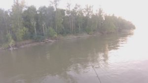 Рыбалка на Оби в Батурино. Отдыхаем на островах в Батурино, ловим рыбу с лодок.