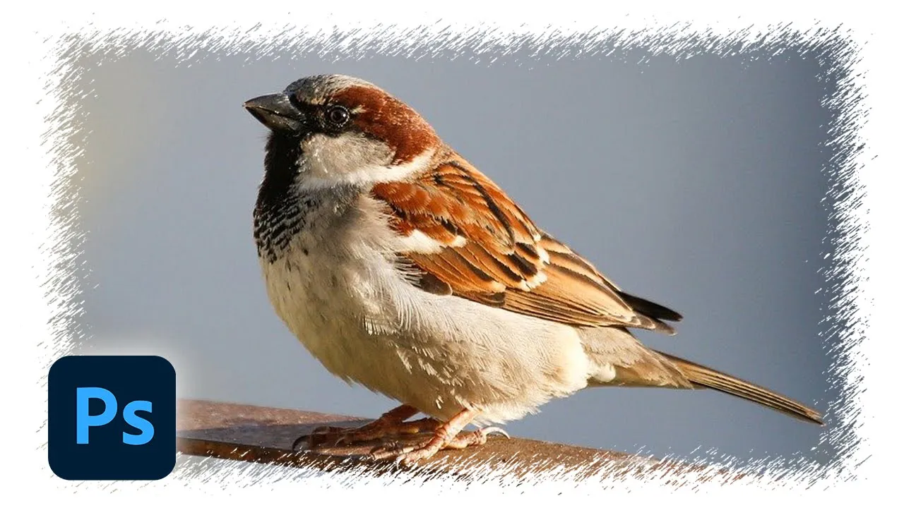 Как сделать рваные края фото в фотошопе смотреть онлайн