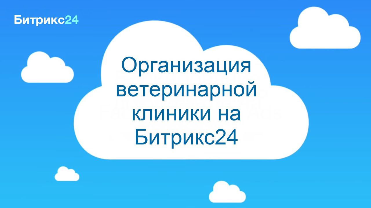 Организация ветеринарной клиники с Битрикс24 смотреть онлайн