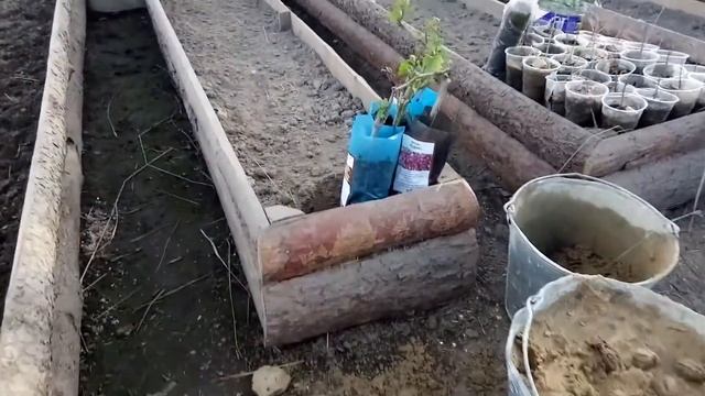 Достали орехи после зимовки. смотреть онлайн