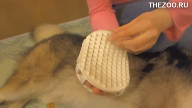 Массажная щетка Ferplast GRO 5933 двусторонняя на руку смотреть онлайн