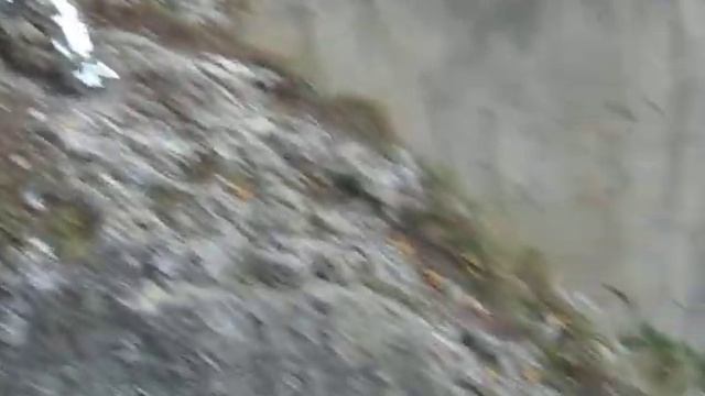 Зеркальный барс смотреть онлайн