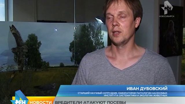 Сюжет от 13.07.2015 Вредители атакуют смотреть онлайн