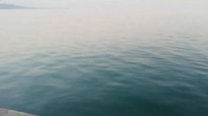 Рыбалка на пирсе в г. Сухум