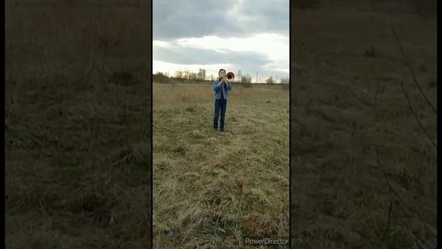 "Журавли". Исполняет А.Мелентьев смотреть онлайн