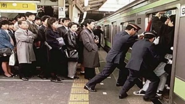 Самые необычные и интересные профессии