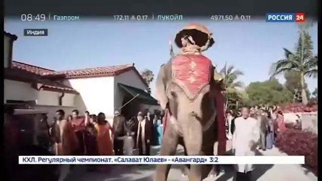 No Elephants in Delhi? : Нью-Дели останется без слонов смотреть онлайн