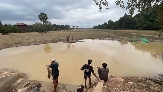 Камбоджа 2023, Сием Рип | Siem Reap, Kambodia 2023 | Атмосфера в городке рядом с Ангкор Ватом смотреть онлайн