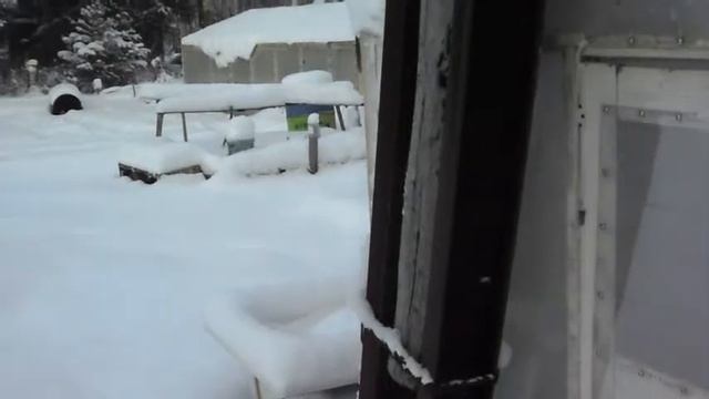 Дачная Жизнь Горожан/Зимняя сказка смотреть онлайн