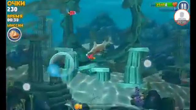 Виды акул(все)и харастеристика смотреть онлайн