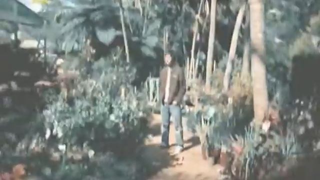 [Факты] Глаза, Цвет глаз смотреть онлайн