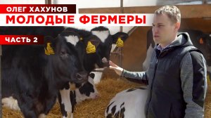 Молодой фермер | Обзор фермы | Кормление коров | Содержание коров | 2 часть