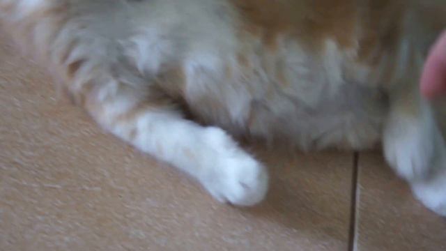 Master NoBabyGlare, 5 недель смотреть онлайн