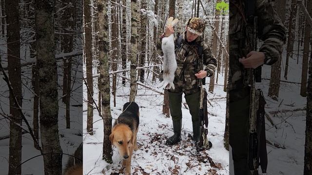 Охота на зайца по первому снегу смотреть онлайн