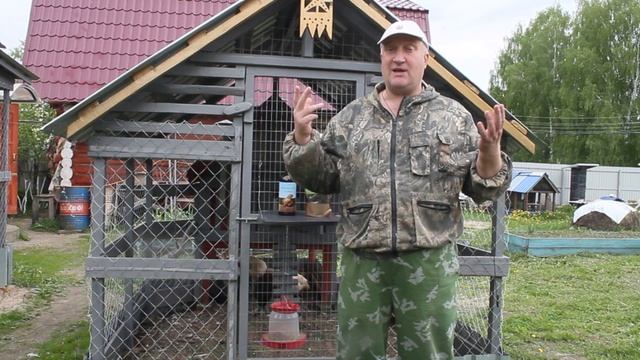 МЫ САМИ УБИВАЕМ СВОИХ КУР. МОЧЕКИСЛЫЙ ДИАТЕЗ. смотреть онлайн