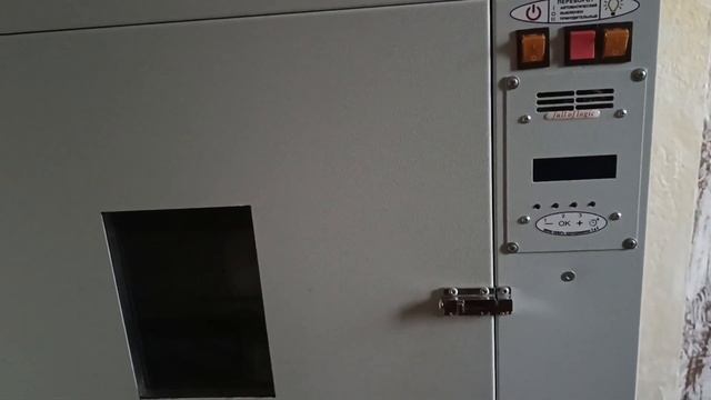 первая закладка яиц на инкубацию //в новом 2023году ///