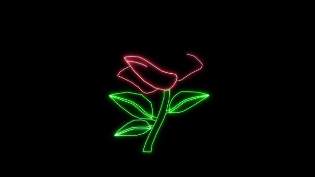 Анимация розы?Animation of Flower rose ? смотреть онлайн