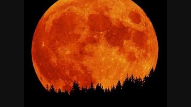 Weirdo Police - Full Moon & Thunder (Wolf Den Mix) смотреть онлайн