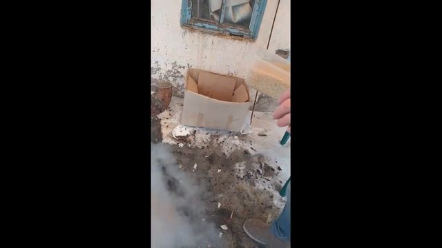 Анимационные Фильмы и Мультсериалы