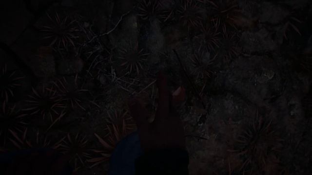 Прохождение Blair Witch | Часть 1: Поиски смотреть онлайн