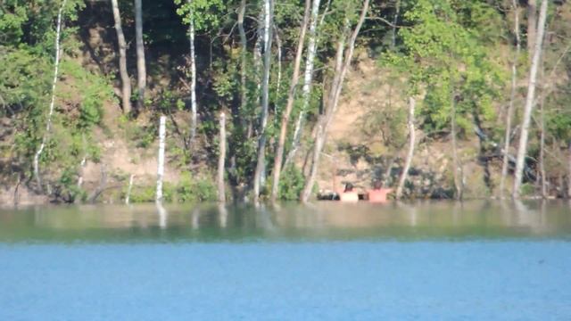 Черепашинцы 2014 NIKON P510 ZOOM 42X смотреть онлайн