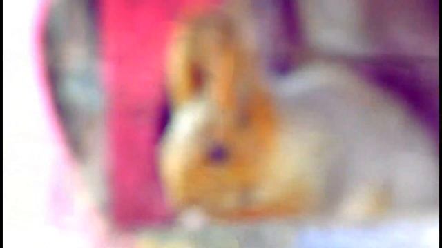 Клип - Долина Белых Вод смотреть онлайн