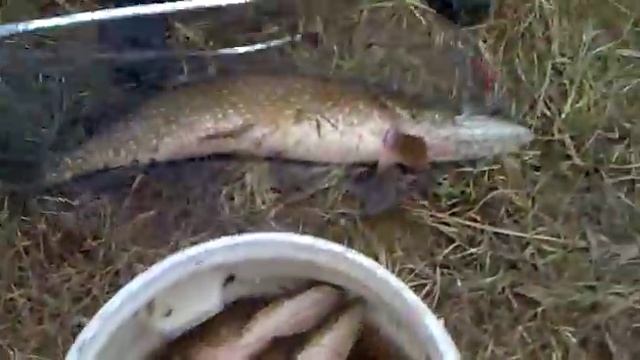 Урай рыбалка на спининг смотреть онлайн
