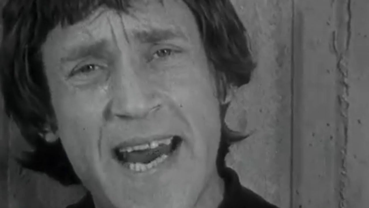 Владимир Высоцкий. Баллада о книжных детях