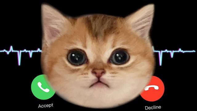APPLE RINGTONE IPHONE #pro #iphone #cat EP.31 смотреть онлайн